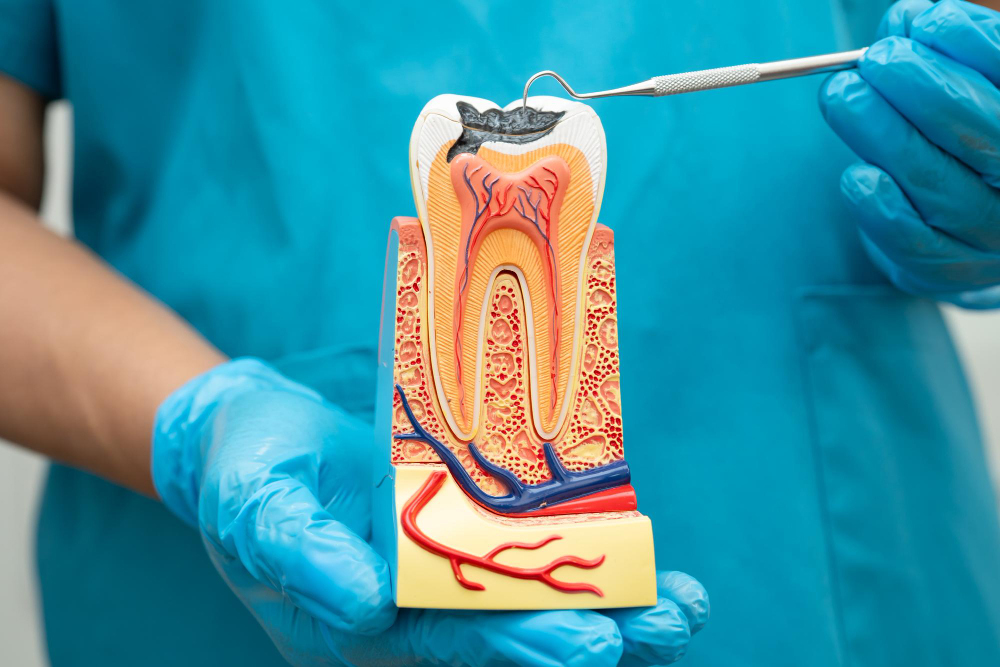 Dentist performing root canal treatment