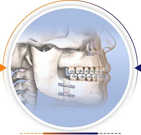 Face, Mouth & Jaw